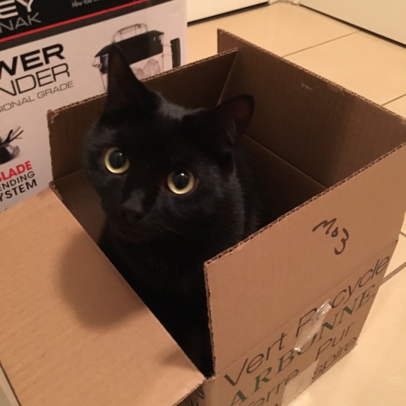 Meet your Posher, Stephanie - Picture 1 of 1